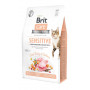 Сухой корм Brit Care Cat GF Sensitive HDigestion & Delicate Taste для кошек с чувствительным пищеварением, индейка и лосось, 2 кг