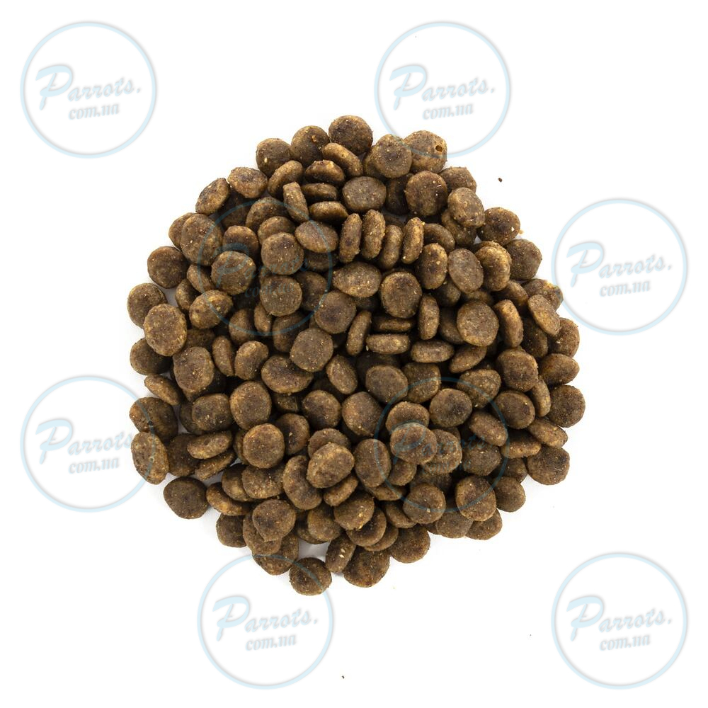 Сухой корм Brit Care Cat GF Sensitive HDigestion & Delicate Taste для кошек с чувствительным пищеварением, индейка и лосось, 2 кг