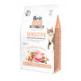 Сухой корм Brit Care Cat GF Sensitive HDigestion & Delicate Taste для кошек с чувствительным пищеварением, индейка и лосось, 400 г