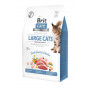 Сухий корм Brit Care Cat GF Large Power & Vitality для котів великих порід, качка та курка, 400 г