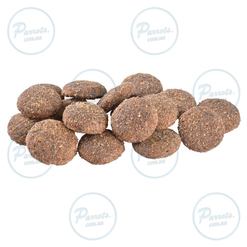 Сухой корм Brit Care Dog Sustainable Adult Large Breed для собак больших пород, с курицей и насекомыми, 3 кг