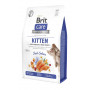 Сухой корм Brit Care Cat by Nutrition Kitten Gentle Digestion Strong Immunity для котят, с лососем, 2 кг