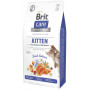 Сухой корм Brit Care Cat by Nutrition Kitten Gentle Digestion Strong Immunity для котят, с лососем, 7 кг