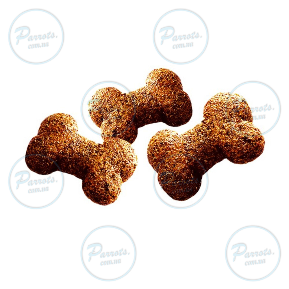Ласощі для собак Brit Care Dog Crunchy Cracker Insects для імунітету, комахи, кролик і фенхель, 200 г