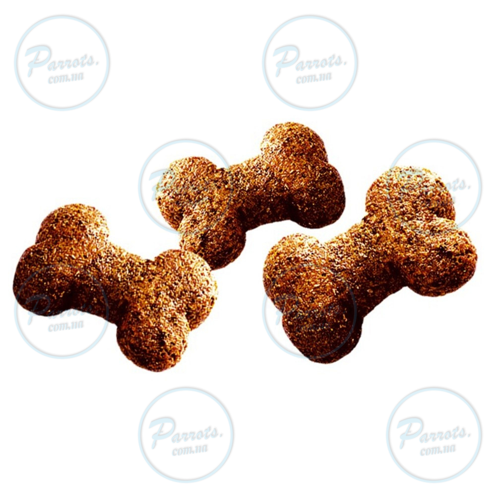 Ласощі для собак Brit Care Dog Crunchy Cracker Insects для підтримки ваги, комахи, індичка та яблуко, 200 г