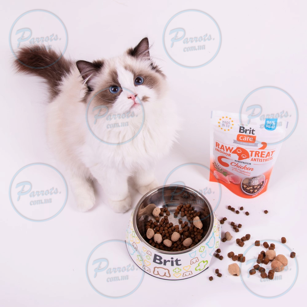 Лакомства для кошек Brit Raw Treat Indoor & Antistress Freeze-dried с курицей, 40 г