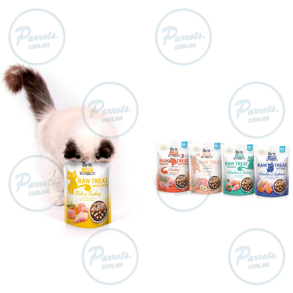 Лакомства для кошек Brit Raw Treat Hair & Skin Freeze-dried с рыбой и индейкой, 40 г