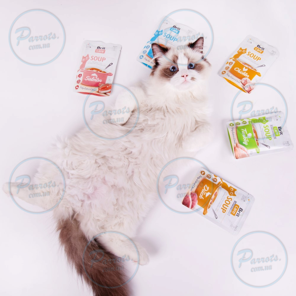 Корм влажный "Суп для кошек Brit Care Soup with Salmon с лососем", 75 г