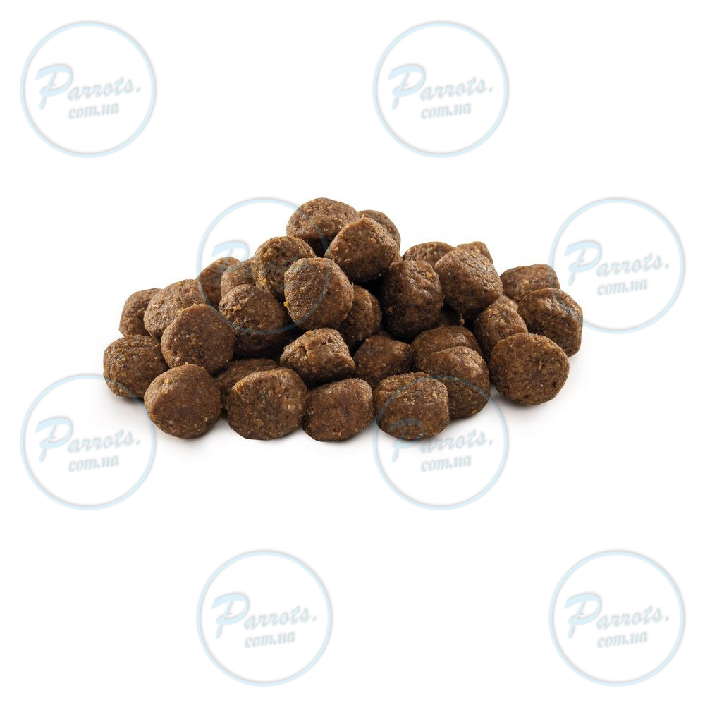 Корм сухий Brit Premium Dog Junior S для молодих собак дрібних порід від 1 до 12 місяців вагою 1-10 кг з куркою 8 кг