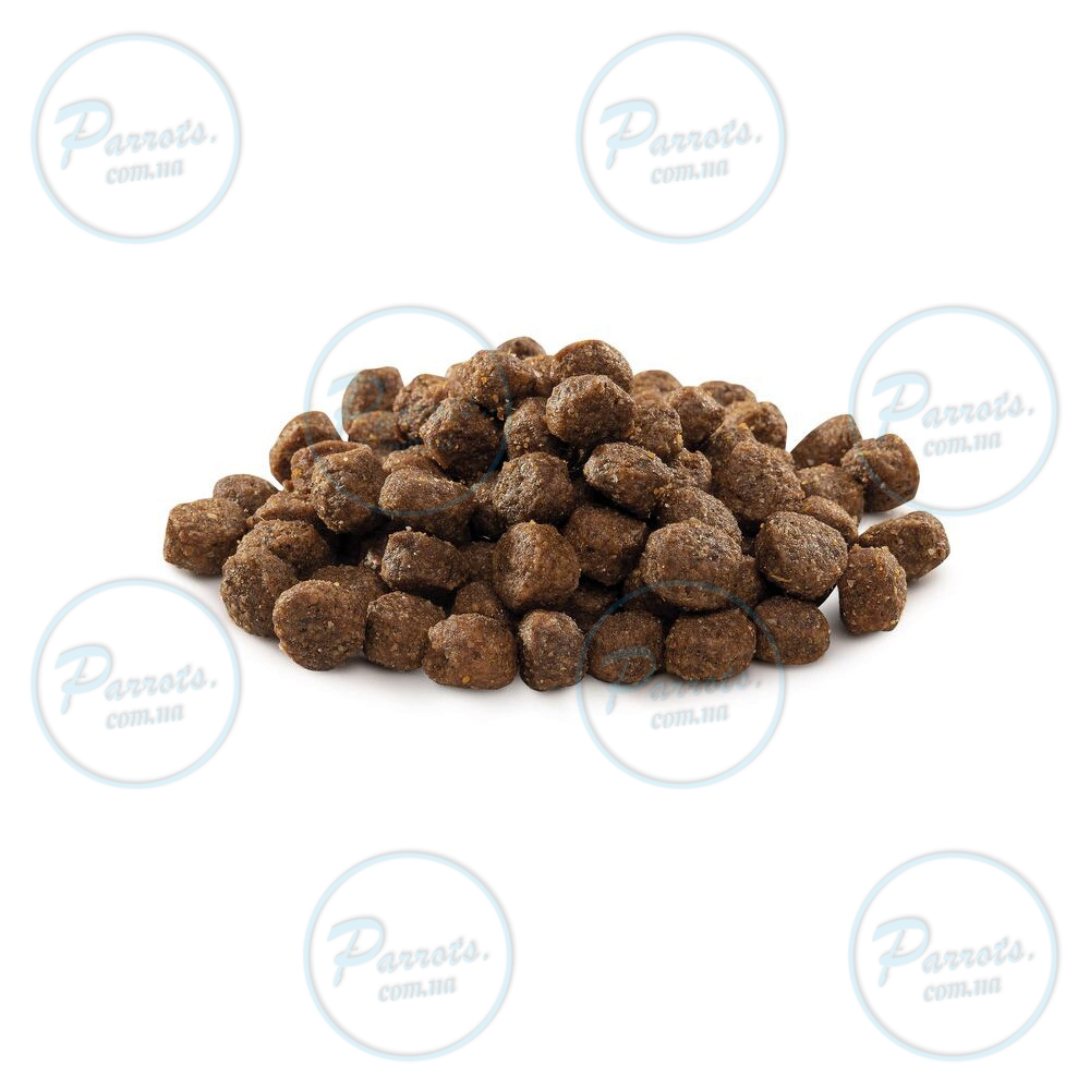 Сухой корм Brit Premium Dog Adult S для взрослых собак малых пород, с курицей, 1 кг