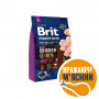 Сухой корм Brit Premium Dog Adult S для взрослых собак малых пород, с курицей, 3 кг