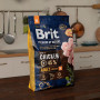 Сухой корм Brit Premium Dog Adult M для взрослых собак средних пород, с курицей, 3 кг