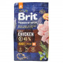 Сухой корм Brit Premium Dog Adult M для взрослых собак средних пород, с курицей, 3 кг