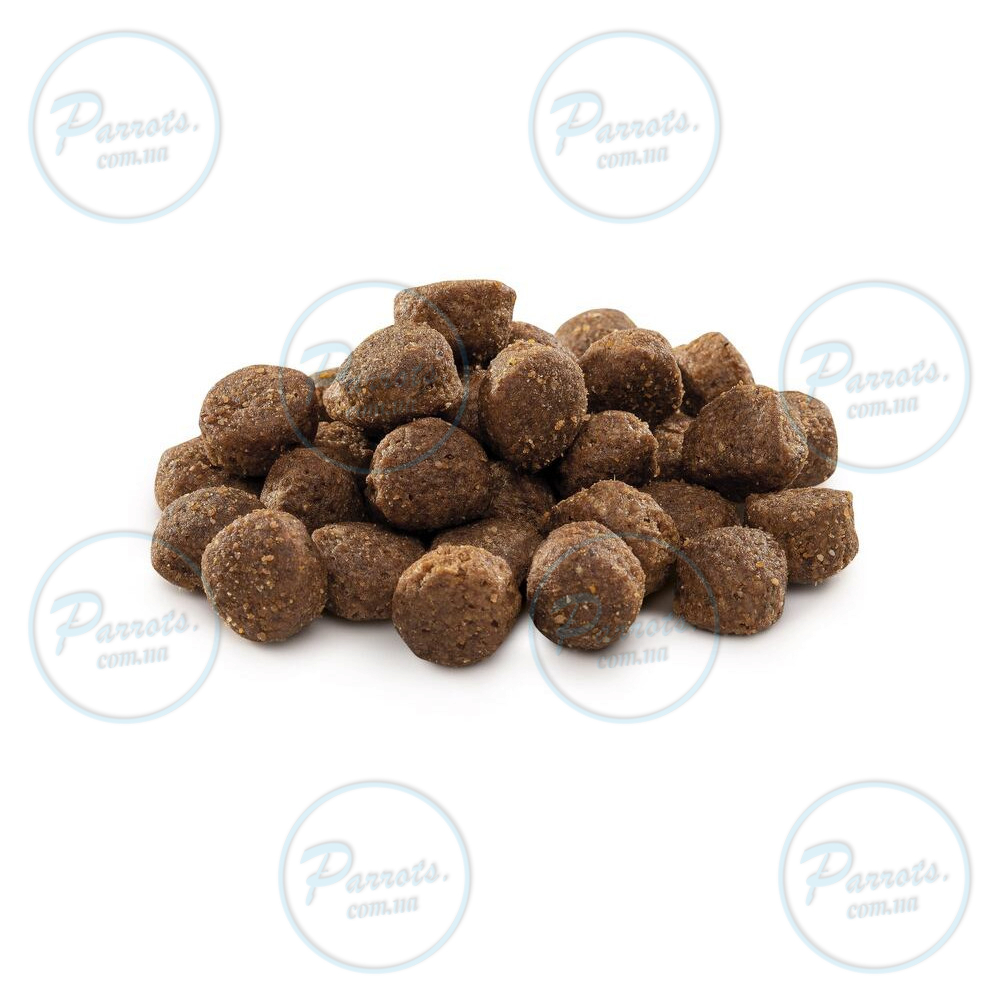 Сухой корм Brit Premium Dog Adult M для взрослых собак средних пород, с курицей, 8 кг
