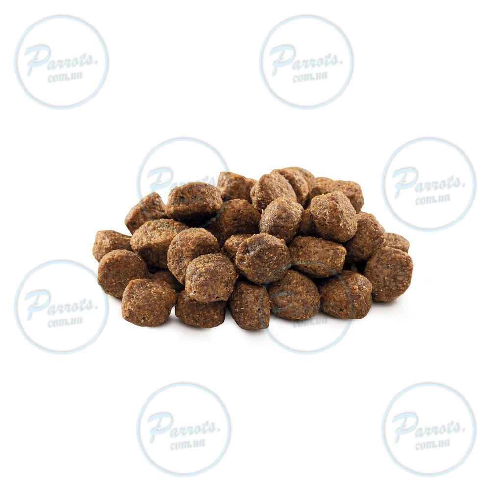 Сухой корм Brit Premium Dog Senior S+M для стареющих собак малых и средних пород, с курицей, 3 кг