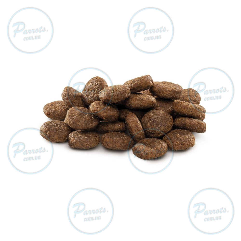 Сухой корм Brit Premium Dog Junior L для щенков и юниоров больших пород, с курицей, 15 кг