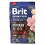 Сухой корм Brit Premium Dog Adult L для взрослых собак больших пород, с курицей, 3 кг