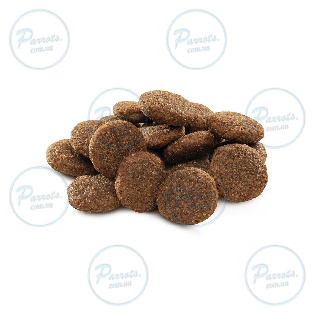 Сухой корм Brit Premium Dog Adult L для взрослых собак больших пород, с курицей, 8 кг