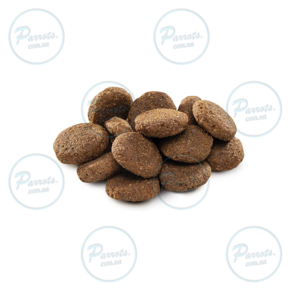 Сухий корм Brit Premium Dog Senior L+XL для старіючих собак великих порід, з куркою, 3 кг