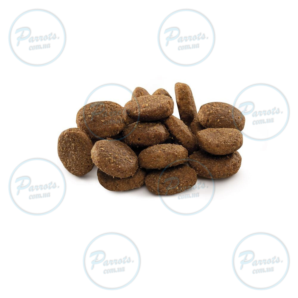 Сухий корм Brit Premium Dog Junior XL для цуценят та юніорів гігантських порід, з куркою, 15 кг