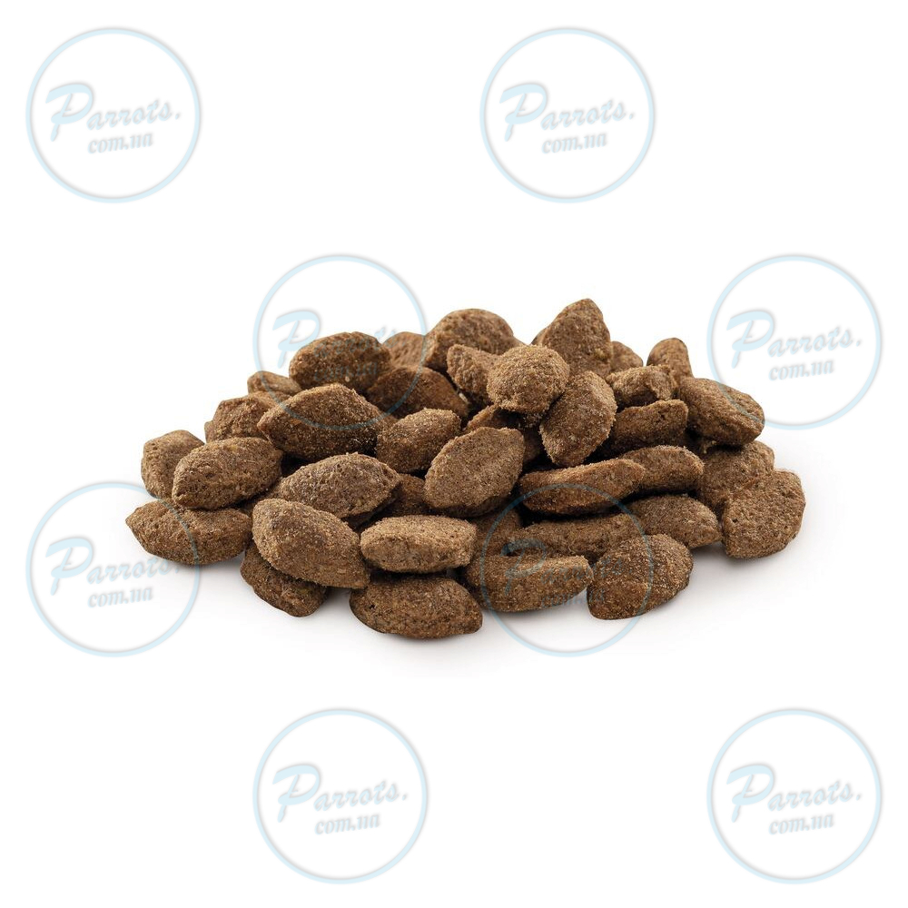 Сухий корм Brit Premium Dog Light для собак із зайвою вагою, з індичкою, 15 кг