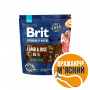 Сухий корм Brit Premium Dog Sensitive Lamb для собак з чутливим травленням, з ягням, 1 кг