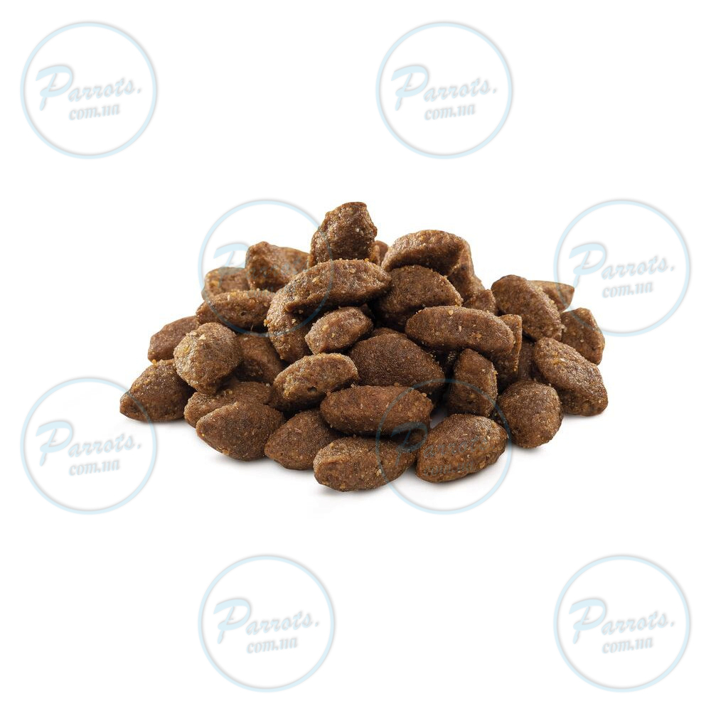 Сухий корм Brit Premium Dog Sport для собак з високими енерговитратами, з куркою, 15 кг
