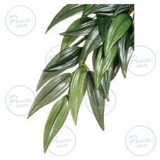 Растение Exo Terra Rucus для террариума, L 50 см (шелк)