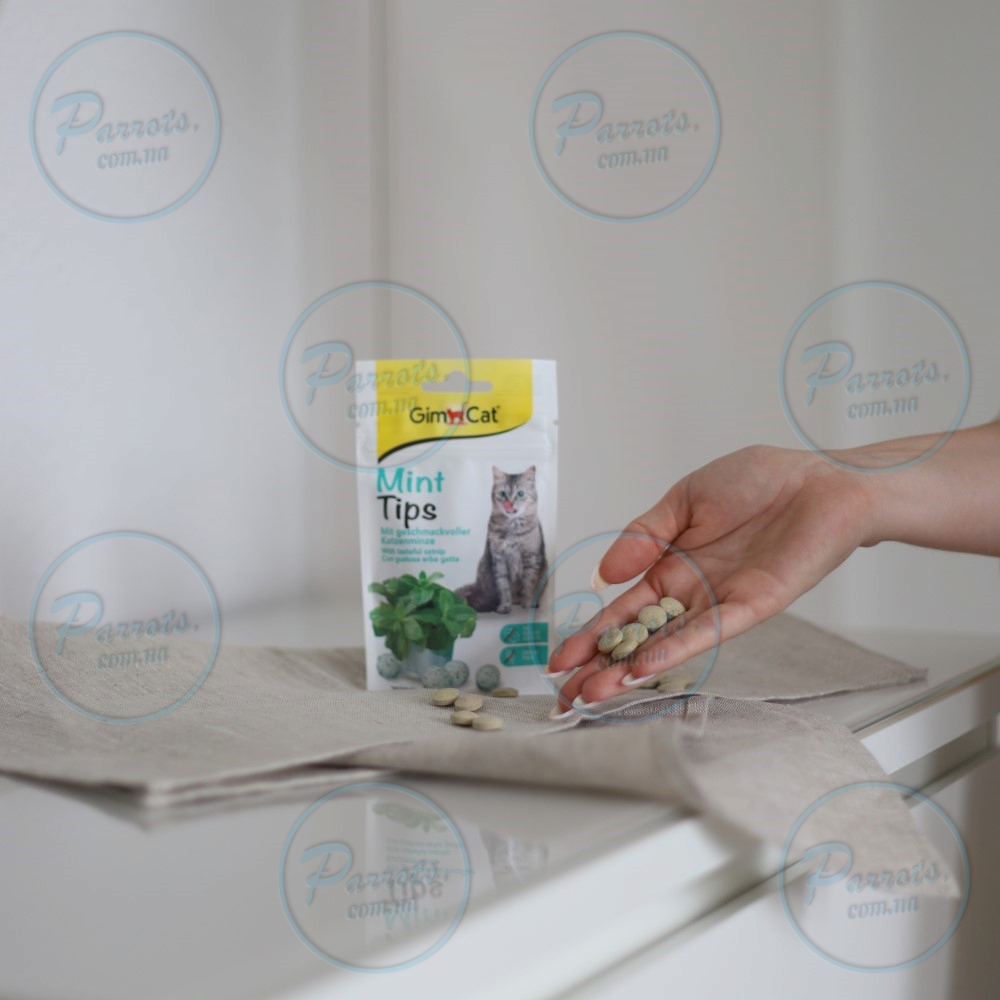 Вітамінізовані ласощі для котів GimCat Cat-Mintips з котячою м'ятою, 40 г