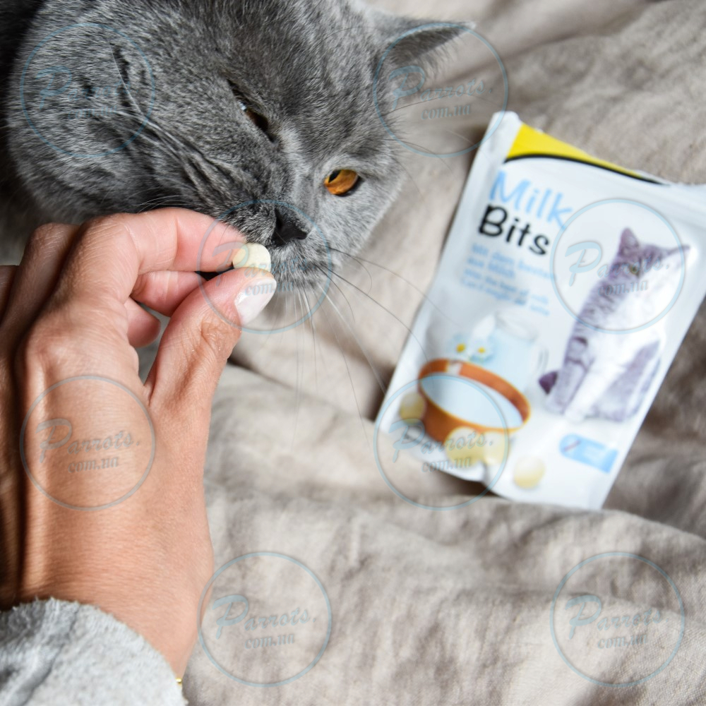 Вітамінізовані ласощі для котів GimCat MilkBits з молоком, 40 г