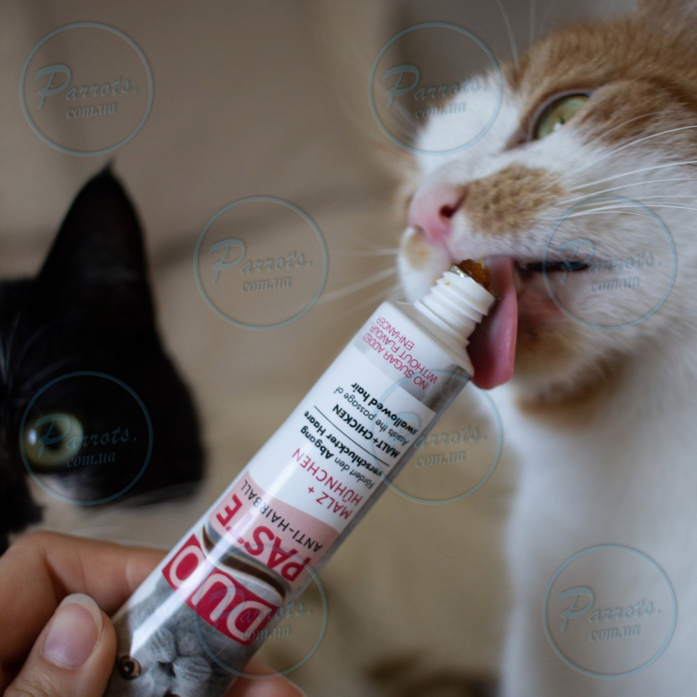 Паста для кошек с чувствительным пищеварением GimCat DUO PASTE Anti-hairboll malt with chicken мальт и курица, 50 г