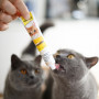 Паста для кошек GimCat DUO PASTE Multi-vitamin 12 vitamins with cheese 12 витаминов и сыр, 50 г