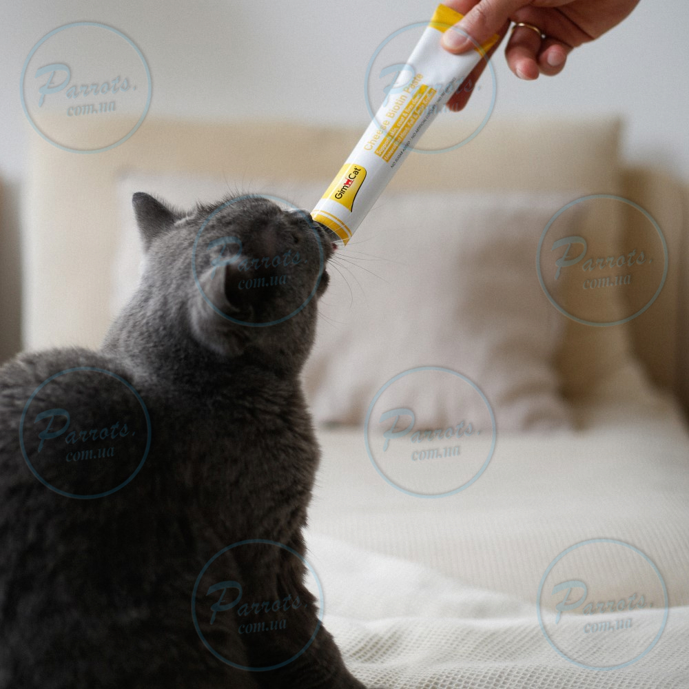 Паста для кошек GimCat Cheese Biotin Paste сырная с биотином, 100 г