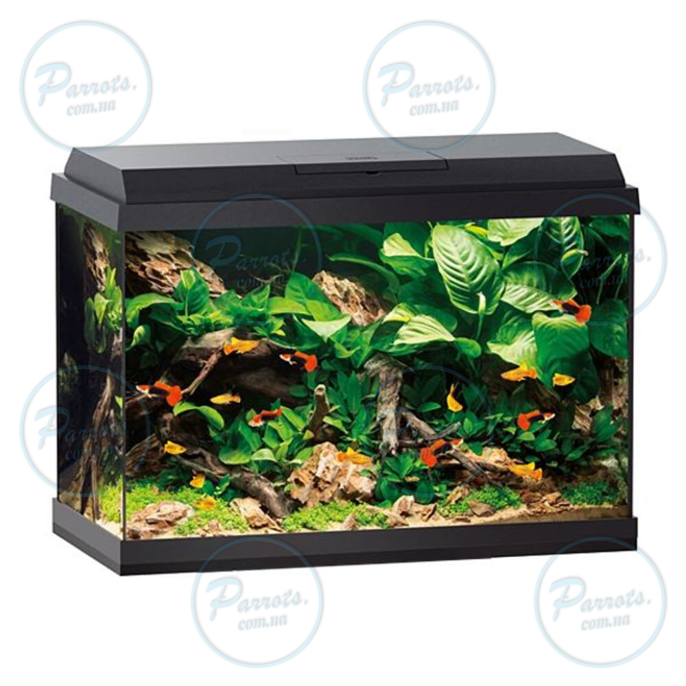 Акваріум Juwel прямий Primo 70 LED, 61x44x31см, 70 л