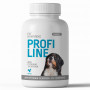 Вітаміни Provet Profiline для собак, ГАГ Комплекс для суглобів та зв'язок, 100 таб.