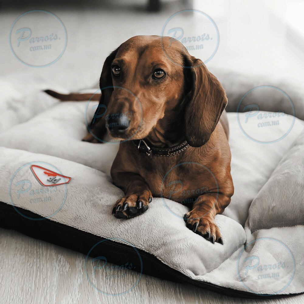 Лежак-трансформер Pet Fashion «Simon» для собак, 54х66х20 см, серый/черный
