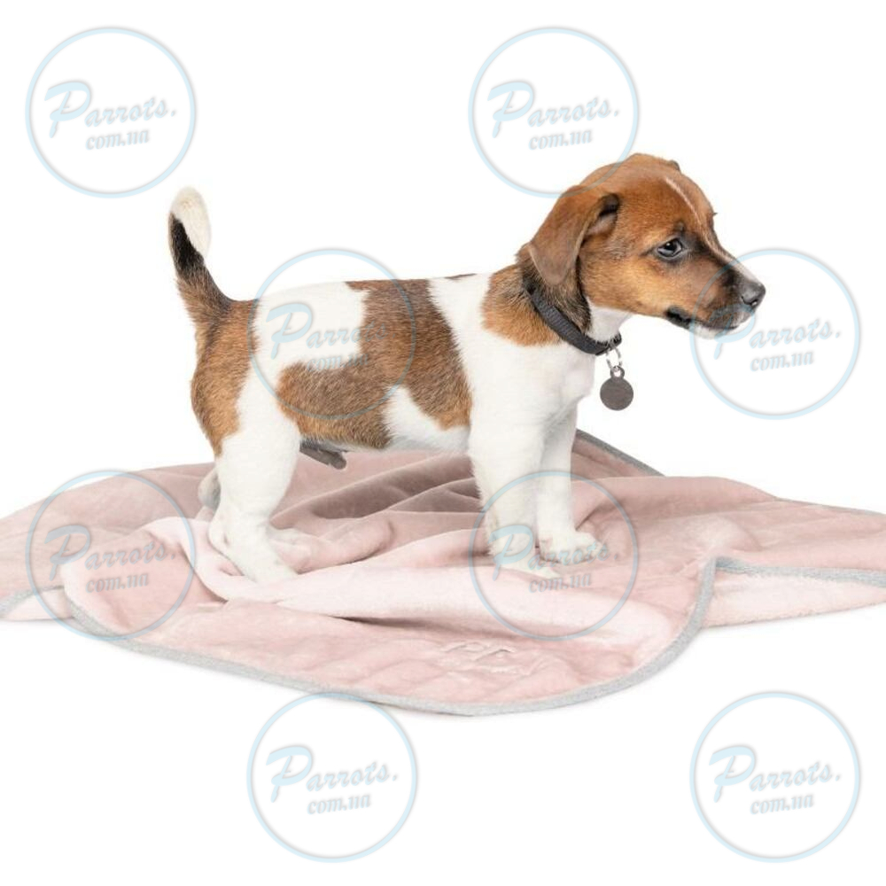 Плед Pet Fashion «Bliss» для собак та цуценят, 77х60 см, пудра