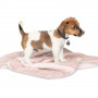 Плед Pet Fashion «Bliss» для собак та цуценят, 77х60 см, пудра