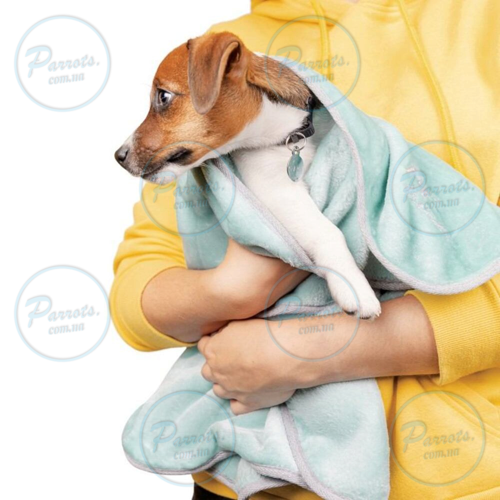 Плед Pet Fashion «Bliss» для собак та цуценят, 77х100 см, м'ята