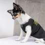 Борцівка Pet Fashion «FBI» для собак, розмір M, чорна