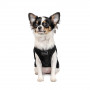 Борцівка Pet Fashion «FBI» для собак, розмір S, чорна