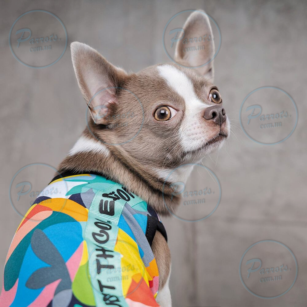 Борцівка Pet Fashion «Cool» для собак, розмір S, з принтом