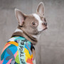 Борцівка Pet Fashion «Cool» для собак, розмір S, з принтом