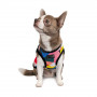 Борцівка Pet Fashion «Cool» для собак, розмір XS2, з принтом