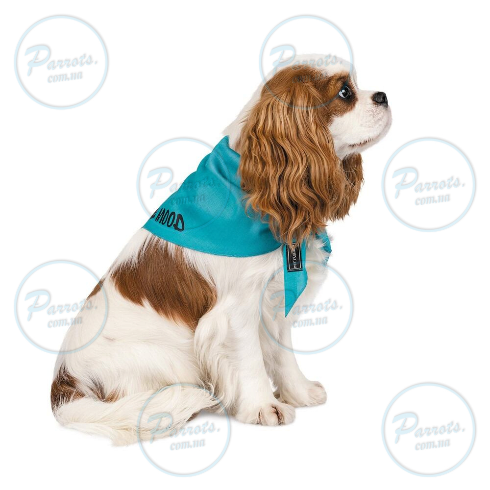 Бандана Pet Fashion «Weekend» для собак, розмір XS-S, блакитна