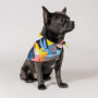 Бандана Pet Fashion «Weekend» для собак, розмір M-XL, принт