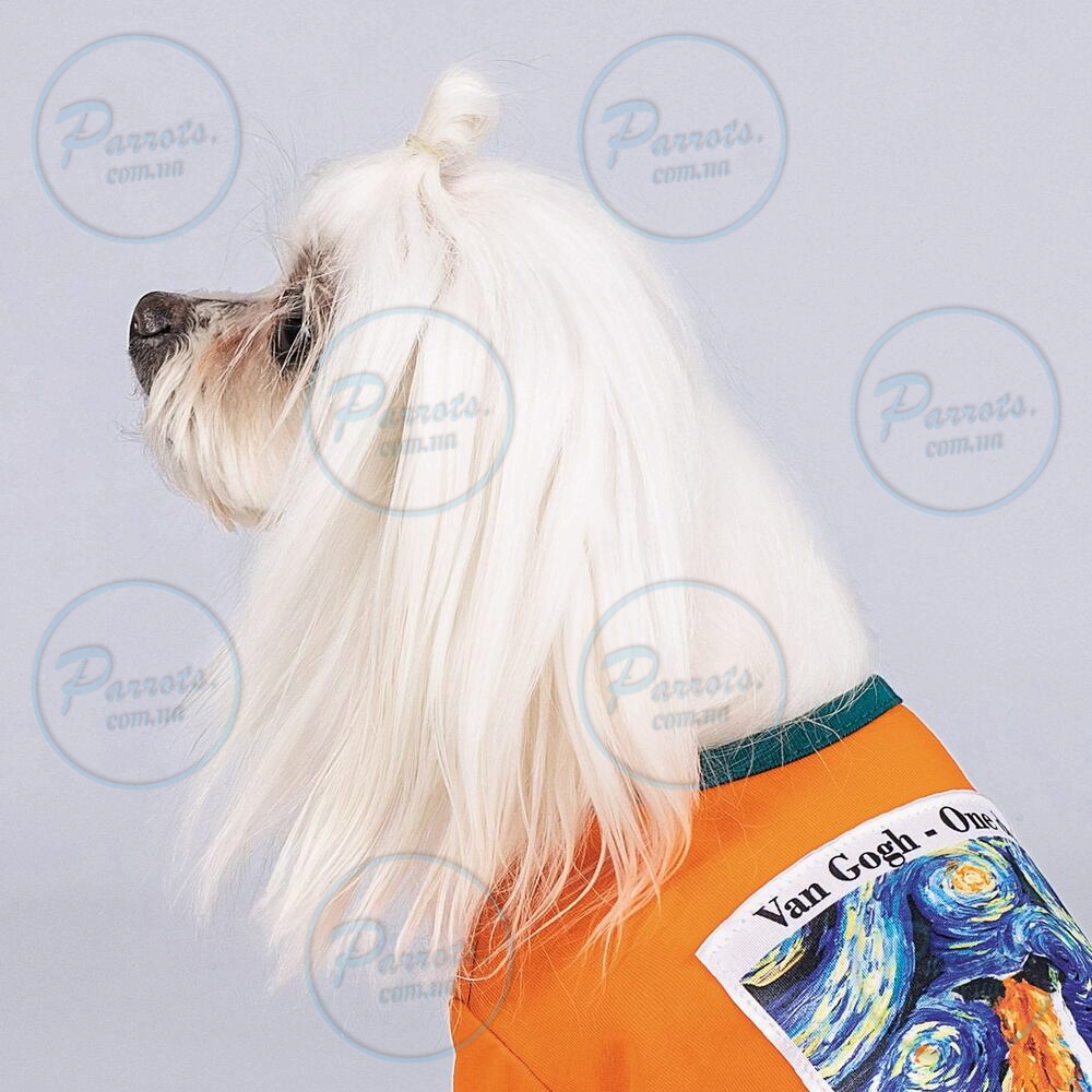 Футболка Pet Fashion «Art» для собак, розмір XS, помаранчева