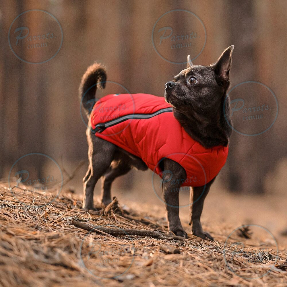 Жилет Pet Fashion «E.Vest» для собак, розмір L, червоний