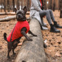 Жилет Pet Fashion «E.Vest» для собак, розмір L, червоний