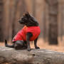 Жилет Pet Fashion «E.Vest» для собак, розмір M2, червоний